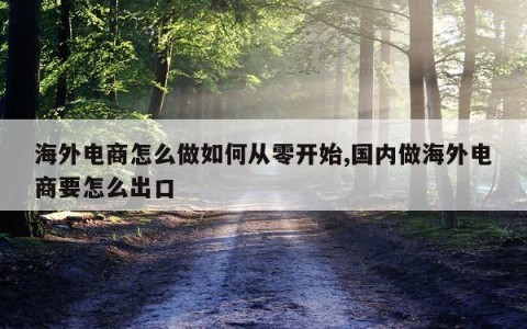 海外电商怎么做如何从零开始,国内做海外电商要怎么出口