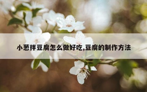 小葱拌豆腐怎么做好吃,豆腐的制作方法