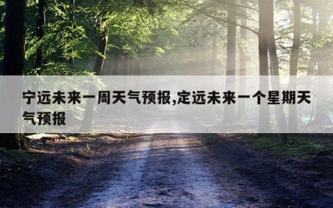 宁远未来一周天气预报,定远未来一个星期天气预报