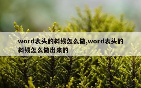 word表头的斜线怎么做,word表头的斜线怎么做出来的
