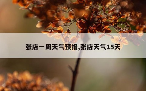 张店一周天气预报,张店天气15天