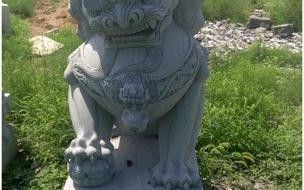 门口蹲着的石狮子叫什么 门口石狮子多少钱一对