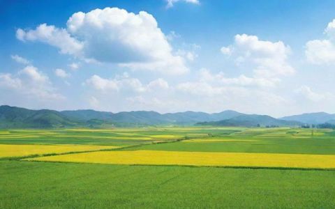 陈仓天气预报一周,陈仓天气预报一周15天准确吗