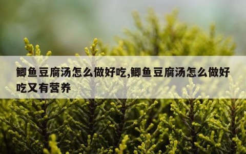 鲫鱼豆腐汤怎么做好吃,鲫鱼豆腐汤怎么做好吃又有营养