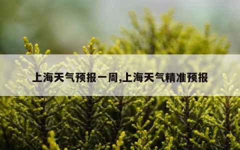 上海天气预报一周,上海天气精准预报