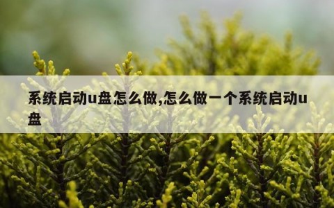 系统启动u盘怎么做,怎么做一个系统启动u盘