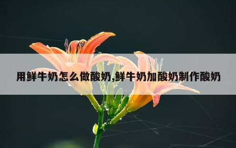 用鲜牛奶怎么做酸奶,鲜牛奶加酸奶制作酸奶