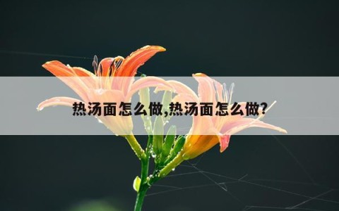 热汤面怎么做,热汤面怎么做?