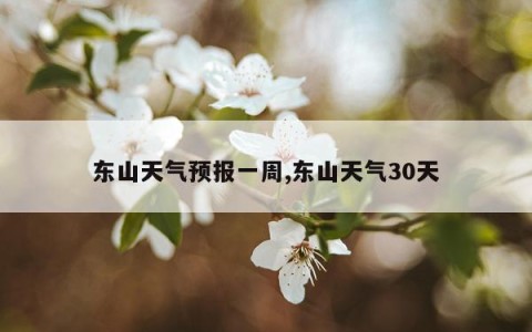 东山天气预报一周,东山天气30天
