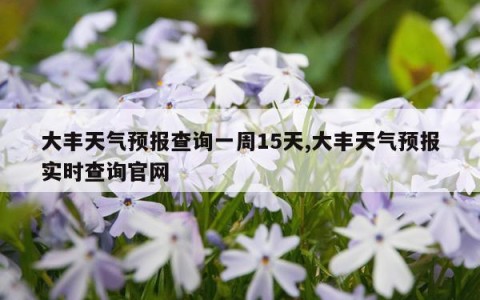 大丰天气预报查询一周15天,大丰天气预报实时查询官网