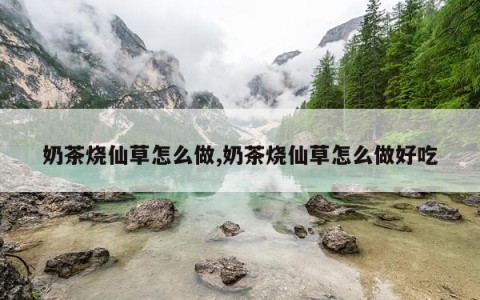 奶茶烧仙草怎么做,奶茶烧仙草怎么做好吃