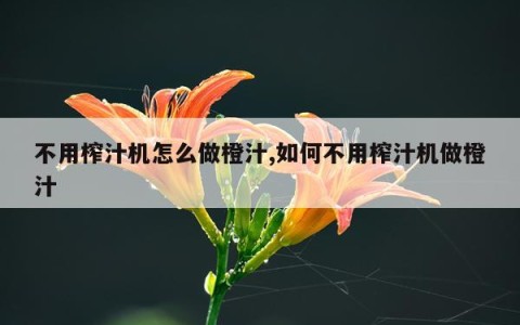 不用榨汁机怎么做橙汁,如何不用榨汁机做橙汁
