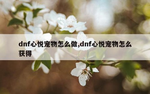 dnf心悦宠物怎么做,dnf心悦宠物怎么获得