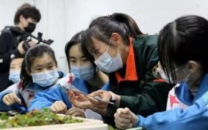 东北师大明珠校区是私立还是公立 东北师大附中明珠学校