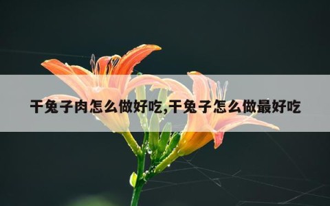 干兔子肉怎么做好吃,干兔子怎么做最好吃