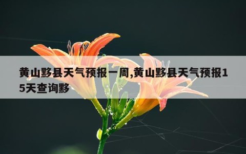 黄山黟县天气预报一周,黄山黟县天气预报15天查询黟
