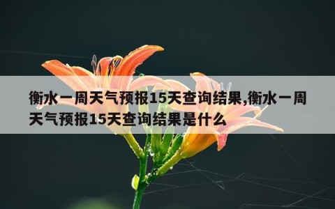 衡水一周天气预报15天查询结果,衡水一周天气预报15天查询结果是什么