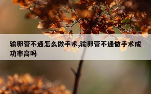 输卵管不通怎么做手术,输卵管不通做手术成功率高吗