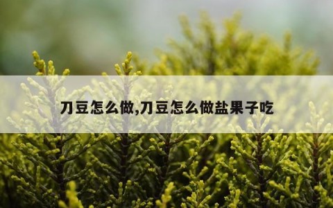 刀豆怎么做,刀豆怎么做盐果子吃