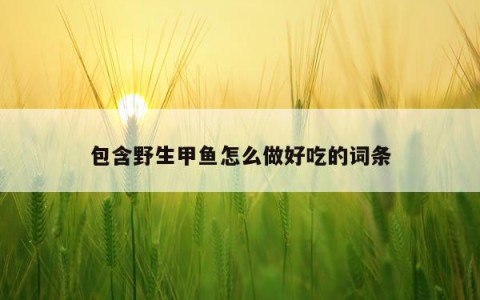包含野生甲鱼怎么做好吃的词条