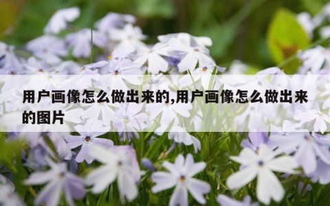 用户画像怎么做出来的,用户画像怎么做出来的图片