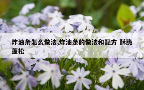 炸油条怎么做法,炸油条的做法和配方 酥脆蓬松