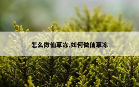 怎么做仙草冻,如何做仙草冻