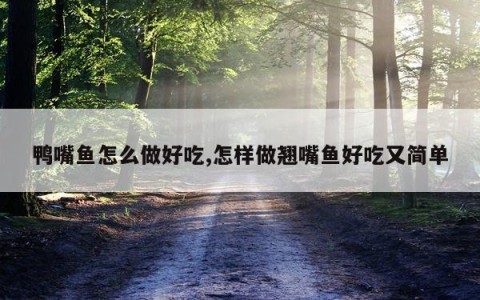 鸭嘴鱼怎么做好吃,怎样做翘嘴鱼好吃又简单
