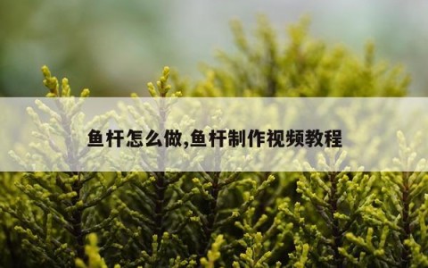 鱼杆怎么做,鱼杆制作视频教程