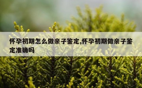 怀孕初期怎么做亲子鉴定,怀孕初期做亲子鉴定准确吗