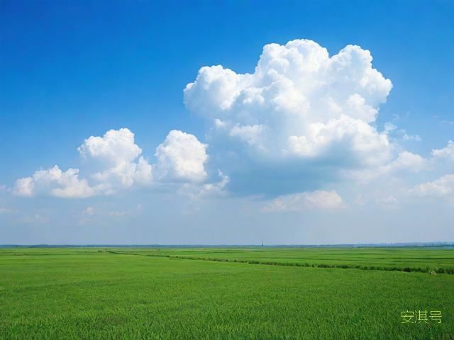 大丰天气预报一周7天,江苏盐城大丰天气预报一周7天