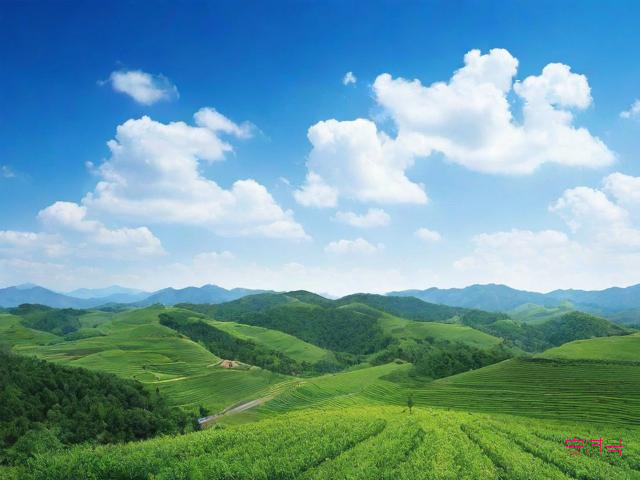 涉县一周天气预报,涉县一周天气预报30天
