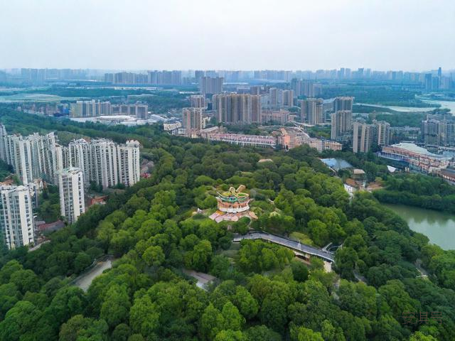 山东蒙阴天气预报一周,蒙阴天气预报查询一周15天