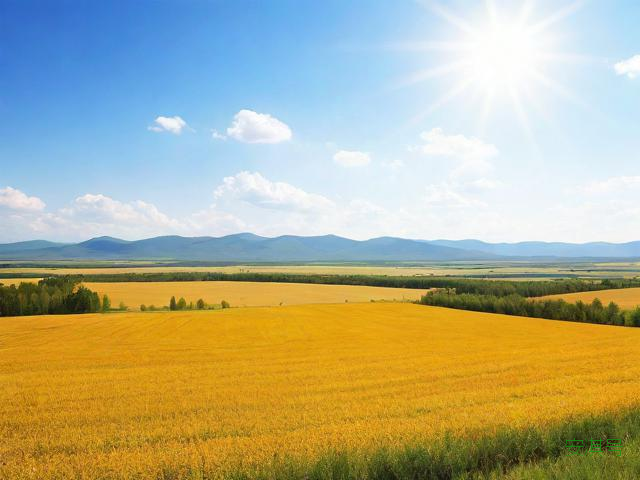 明天呼兰天气预报一周,今天呼兰天气