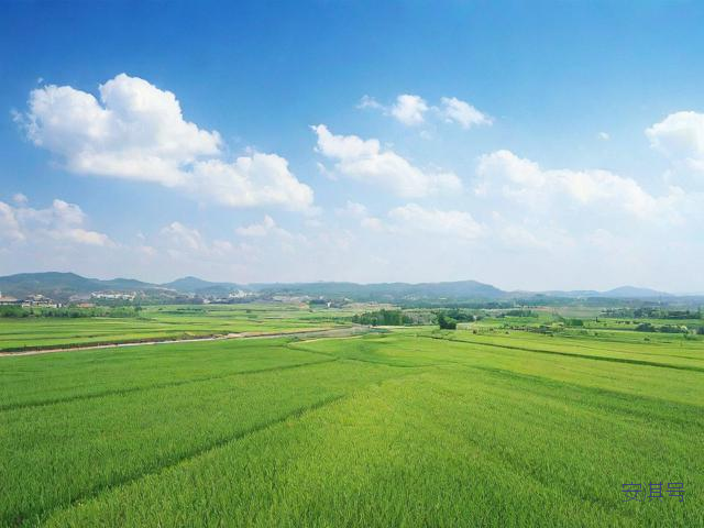 滦县天气预报一周7天,滦县天气预报一周7天查询