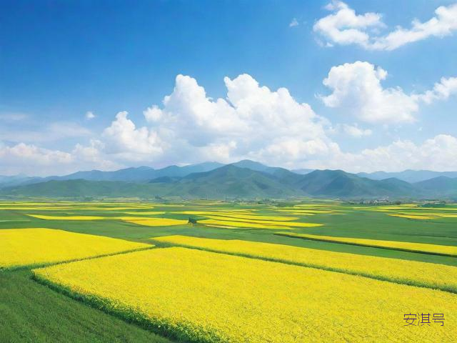 右玉天气预报一周,右玉天气预报24小时