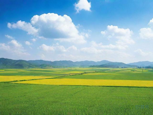 陈仓天气预报一周,陈仓天气预报一周15天准确吗